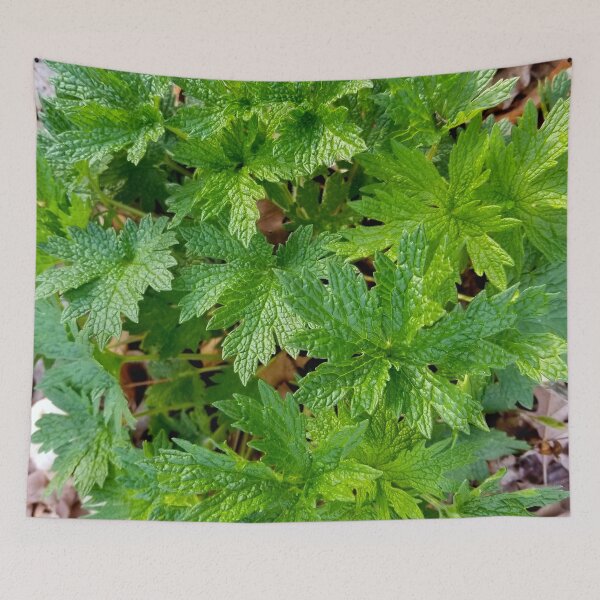 Item preview, Motherwort designed and sold by bjtomiko.