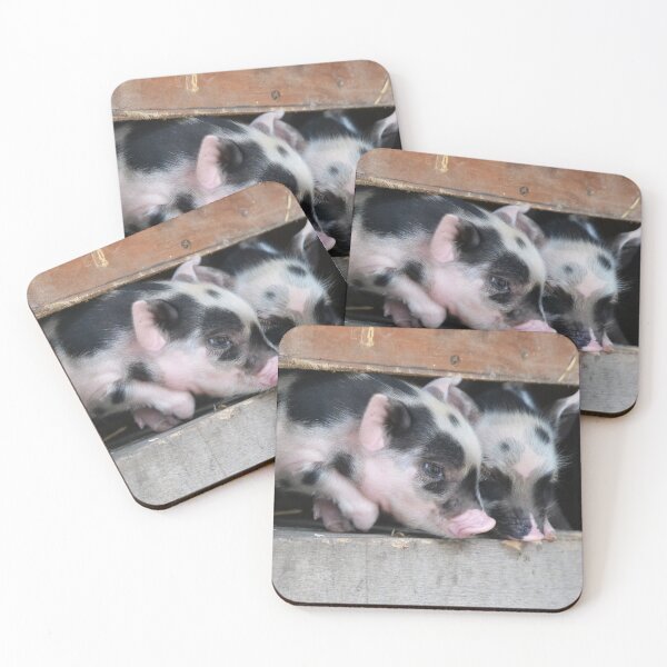 Item preview, Two cute piglets sniffing designed and sold by BarryMayfield.