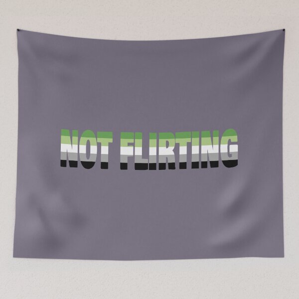 Item preview, NOT FLIRTING aro flag designed and sold by cringewizard.