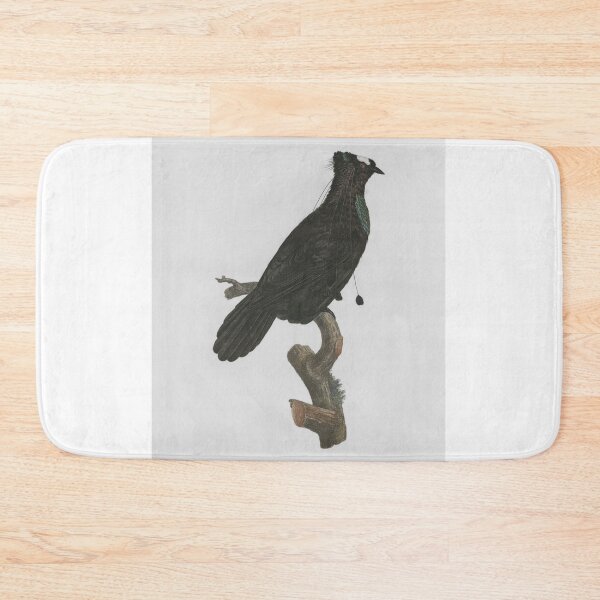Item preview, Le Sifilet (Western Parotia), Jacques Barraband, 1806 designed and sold by stillform33.