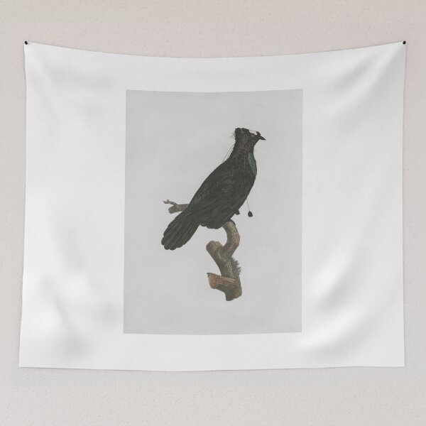Item preview, Le Sifilet (Western Parotia), Jacques Barraband, 1806 designed and sold by stillform33.