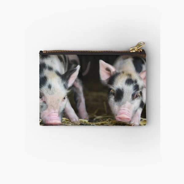 Item preview, two sweet piglets looking at the camera designed and sold by BarryMayfield.