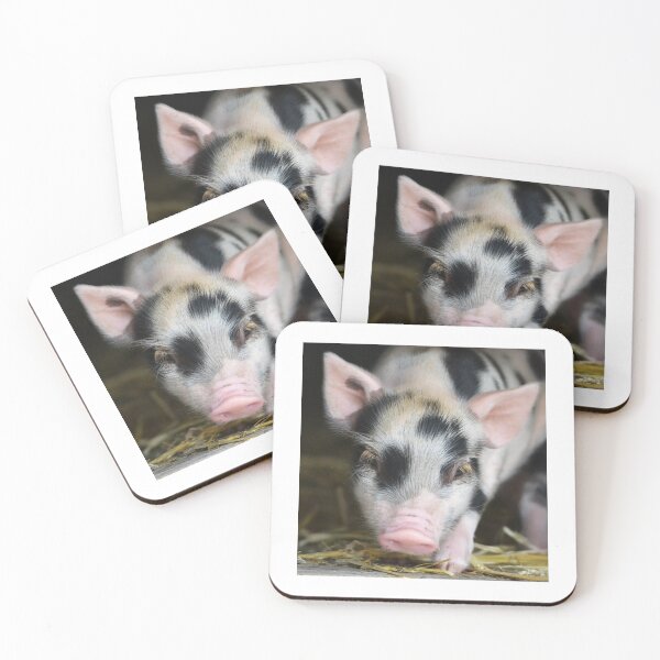 Item preview,  sweet piglet looking at the camera designed and sold by BarryMayfield.