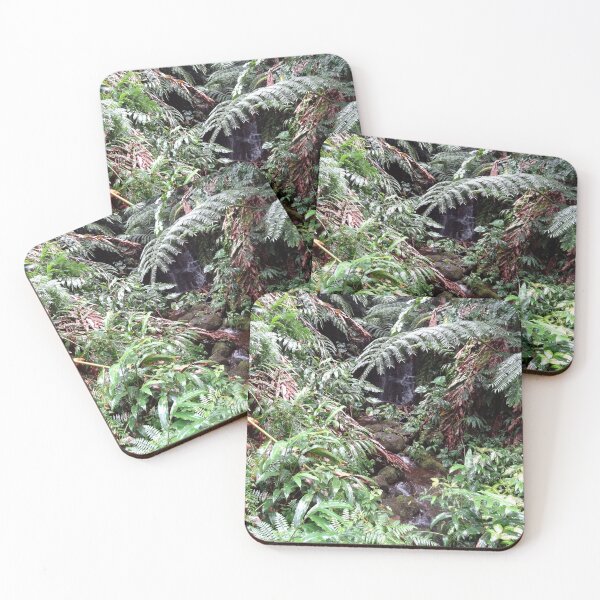 Item preview, Tropical Forest Photograh 08 designed and sold by MoodyMuseArt.