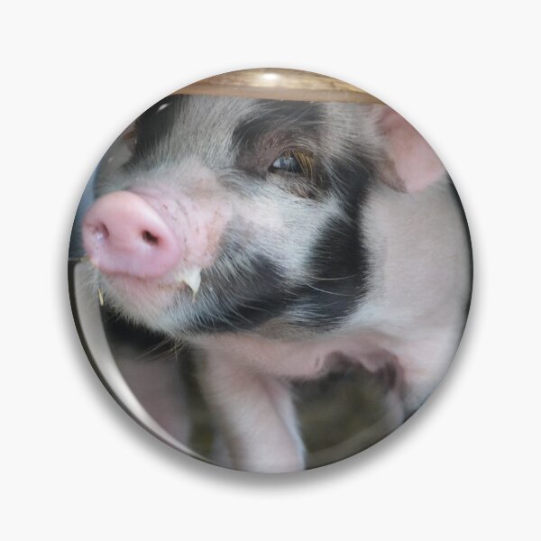 Item preview,  Piglet with a milk moustache looking designed and sold by BarryMayfield.