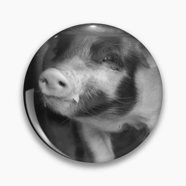 Item preview, Black and white Piglet with a milk moustache designed and sold by BarryMayfield.