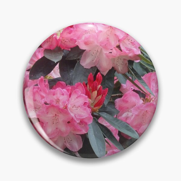 Item preview, Dreamy Pink Rhododendrons designed and sold by MoodyMuseArt.