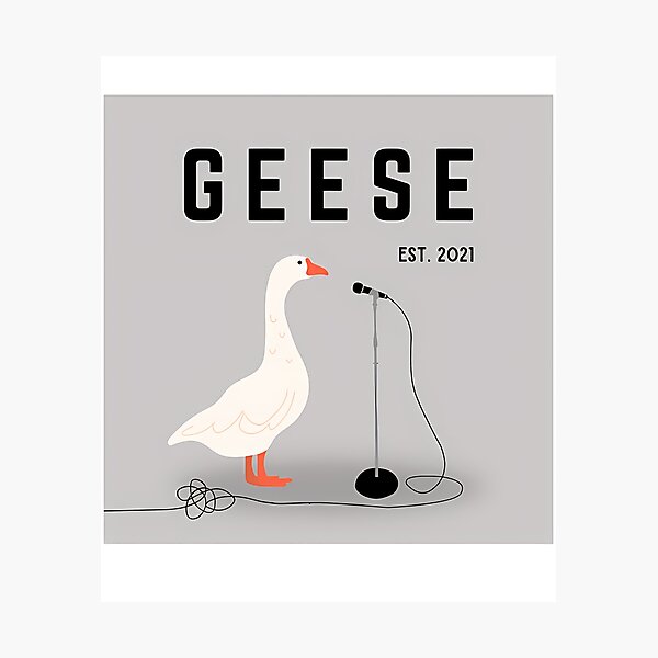 Item preview, Geese Band Graphic Gray  designed and sold by ConnieLouise44.