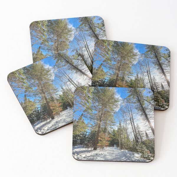 Item preview, Wintery Sunny Forest  designed and sold by ClarissaFlora.