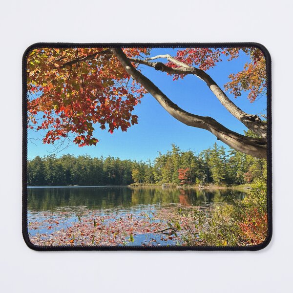 Item preview, Fall Leaves on a Lake designed and sold by ClarissaFlora.