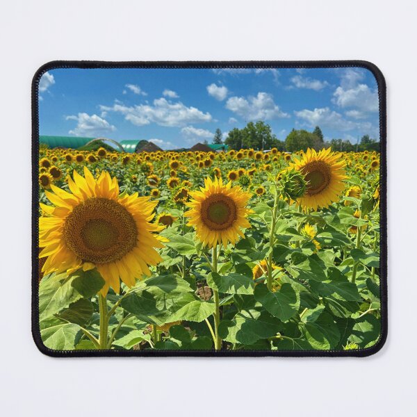 Item preview, Sunshine on a Sunflower Field designed and sold by ClarissaFlora.