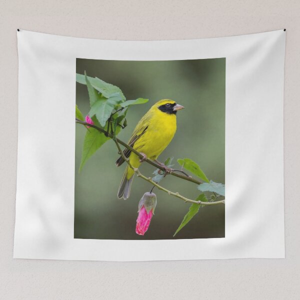 Item preview, Restaurante Flamingo Turtle Bay cSunset Dreams designed and sold by dishcutnes.