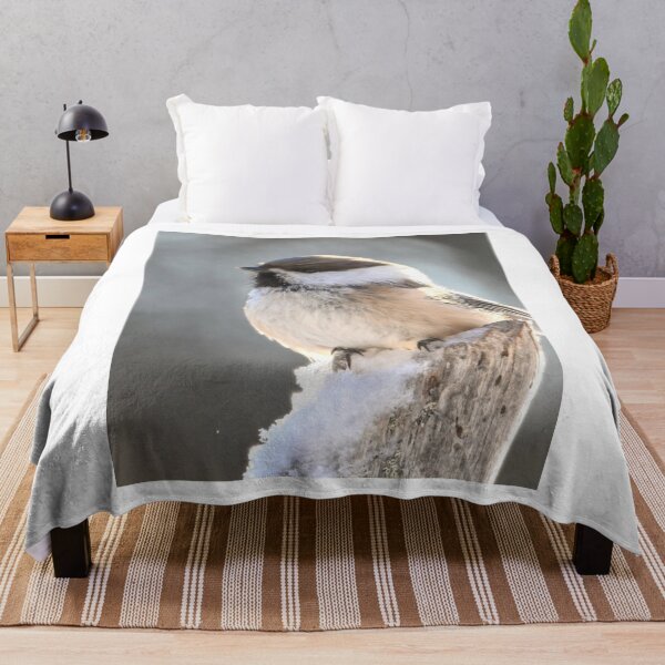 Item preview, Restaurante Tropical Turtle Bay Toucan Vibes designed and sold by dishcutnes.