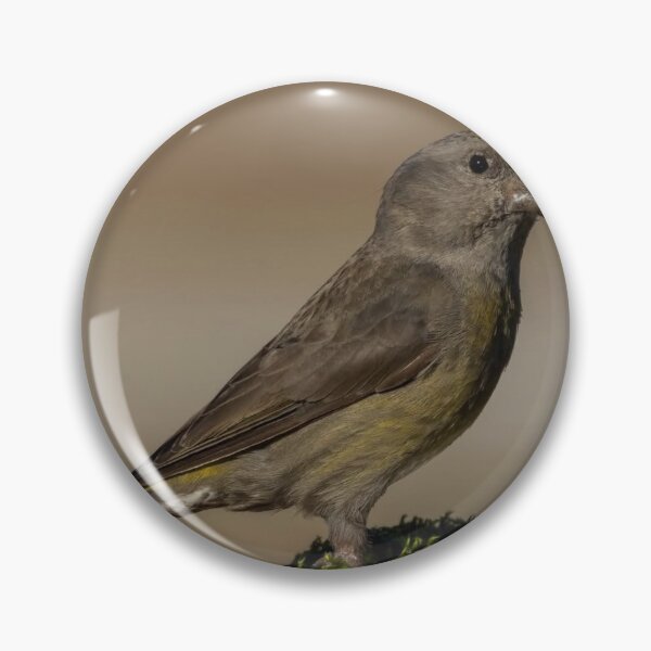 Item preview, Peaceful Safilo Group cDove Harmony designed and sold by dishcutnes.