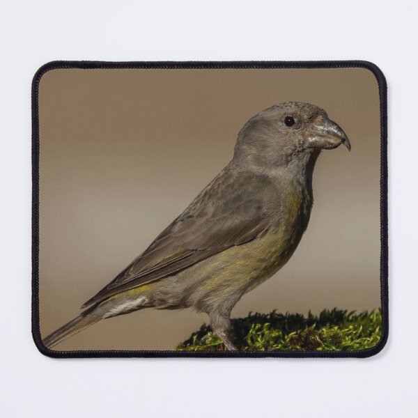Item preview, Peaceful Safilo Group cDove Harmony designed and sold by dishcutnes.