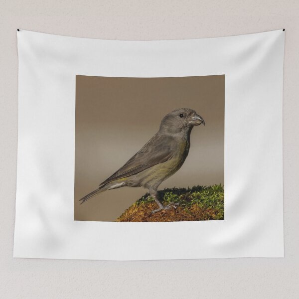 Item preview, Peaceful Safilo Group cDove Harmony designed and sold by dishcutnes.