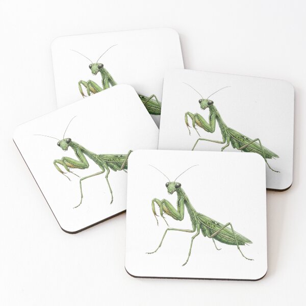 Item preview, Detailed Illustration of a Green Praying Mantis | Insect Art designed and sold by Chaoscience.