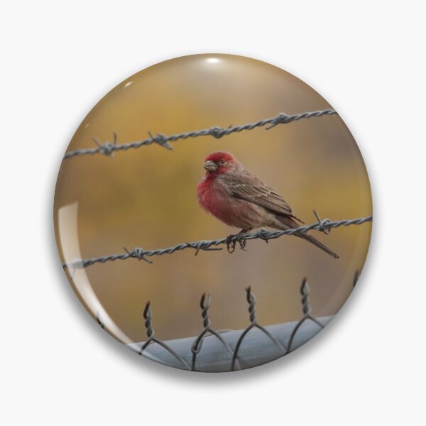 Item preview, Woodland Neighborhood Band dSparrow Charm designed and sold by dishcutnes.