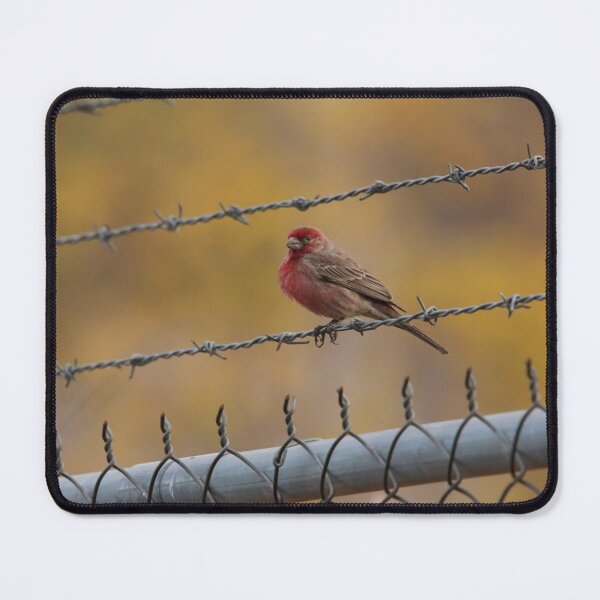Item preview, Woodland Neighborhood Band dSparrow Charm designed and sold by dishcutnes.