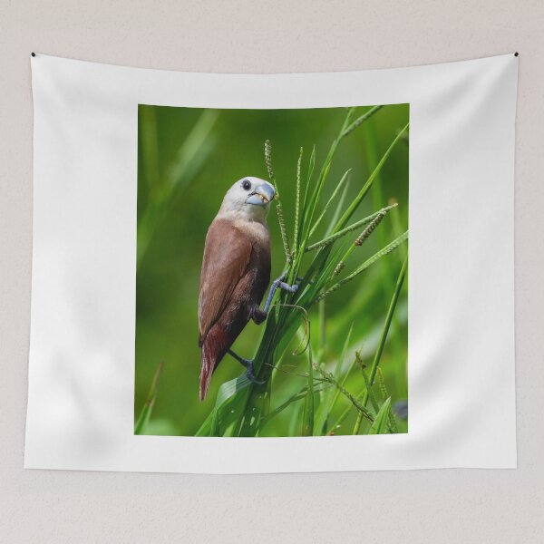 Item preview, Seagull Neighborhood Band cCoastal Breeze designed and sold by dishcutnes.