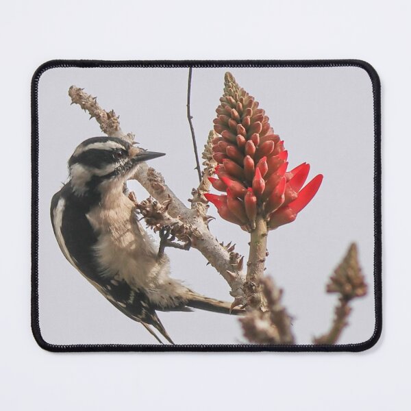 Item preview, Blue Neighborhood Band Jay Bold Beauty designed and sold by dishcutnes.