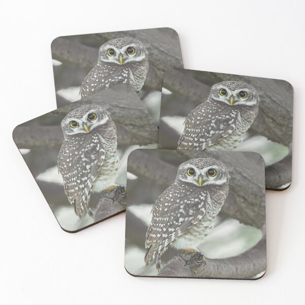 Item preview, Hawk Gin Mare aMountain Guardian designed and sold by dishcutnes.