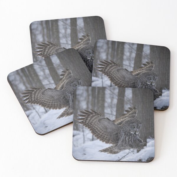 Item preview, Macaw The Leela aJungle Energy designed and sold by dishcutnes.