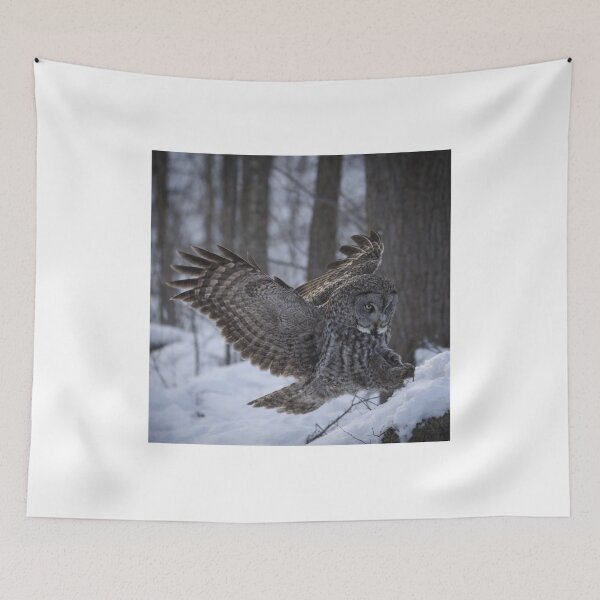 Item preview, Macaw The Leela aJungle Energy designed and sold by dishcutnes.