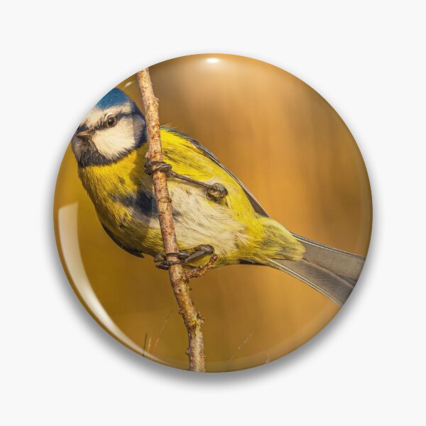 Artikelvorschau, Chickadee The Leela Cozy Winter entworfen und verkauft von dishcutnes.