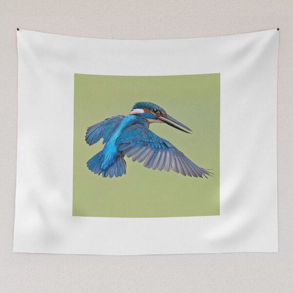 Item preview, Kingfisher Kayak dRiver Flash designed and sold by dishcutnes.