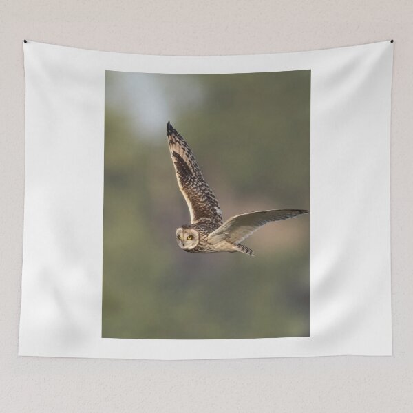 Item preview, Stork Kayak cSky Journey designed and sold by dishcutnes.