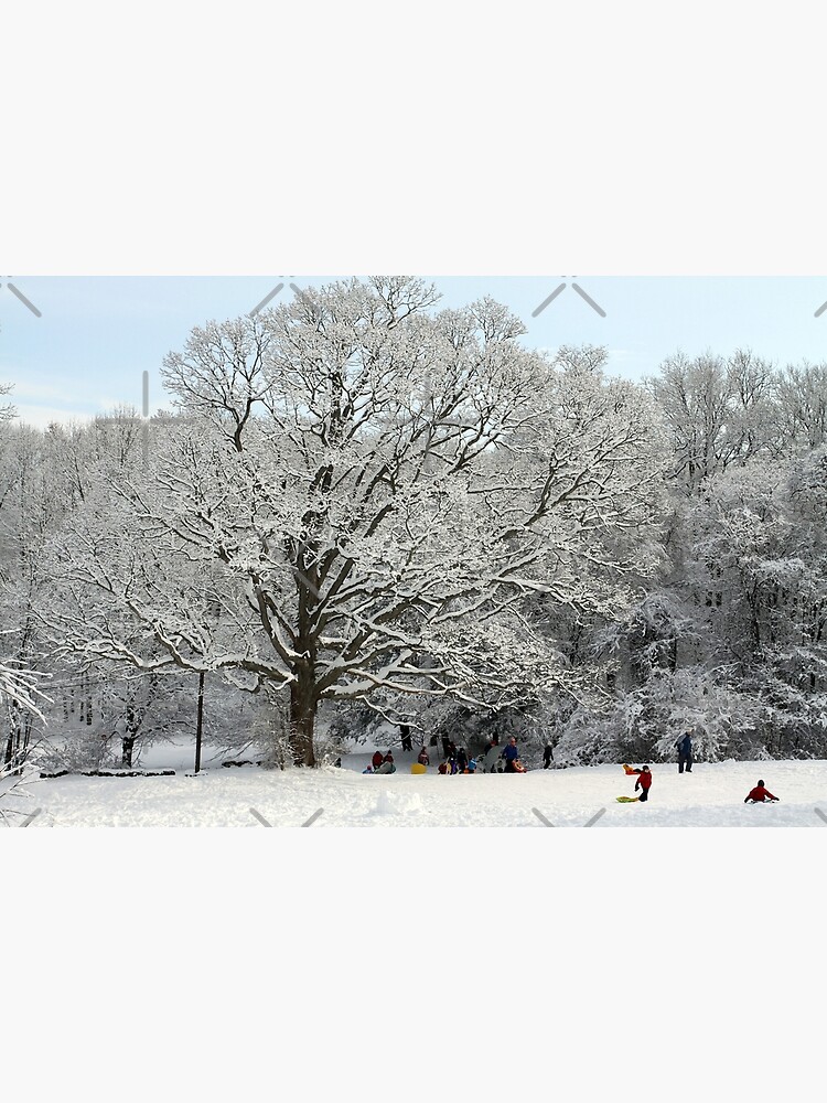 Connecticut - Sledding Waveny Hill by csegalas