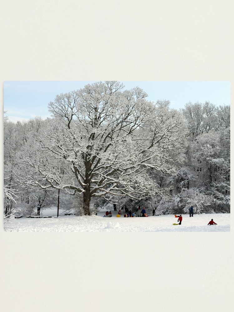 Alternate view of Connecticut - Sledding Waveny Hill Photographic Print