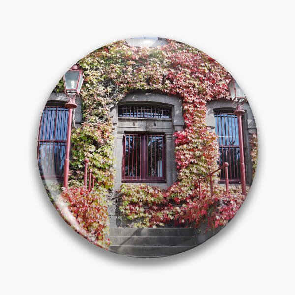 Item preview, Autumn Leaves On Building in Melbourne April 2023 designed and sold by Lauren Elizabeth Photograhy AU.