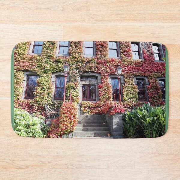 Item preview, Autumn Leaves On Building in Melbourne April 2023 designed and sold by Lauren Elizabeth Photograhy AU.