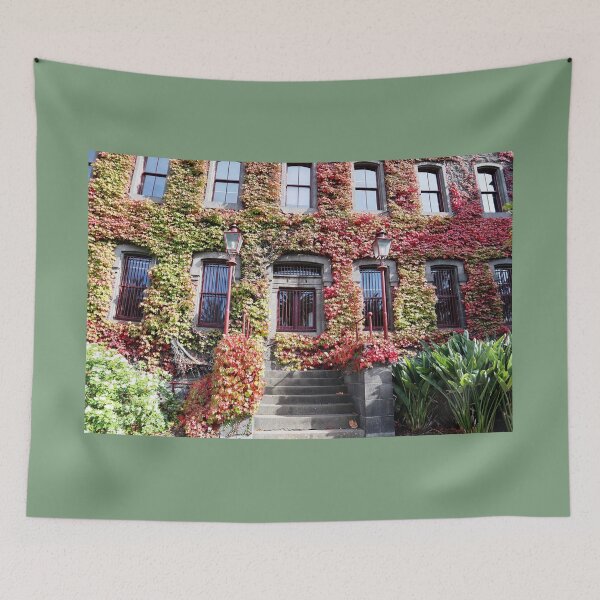 Item preview, Autumn Leaves On Building in Melbourne April 2023 designed and sold by Lauren Elizabeth Photograhy AU.