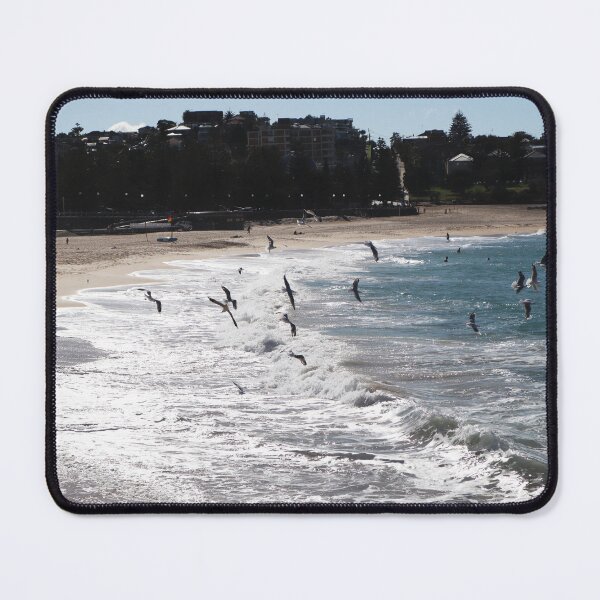 Item preview, Seagulls flying at Coogee Beach, Sydney 2023 designed and sold by Lauren Elizabeth Photograhy AU.