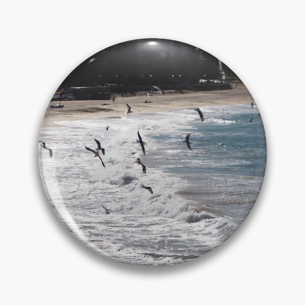 Item preview, Seagulls flying at Coogee Beach, Sydney 2023 designed and sold by Lauren Elizabeth Photograhy AU.