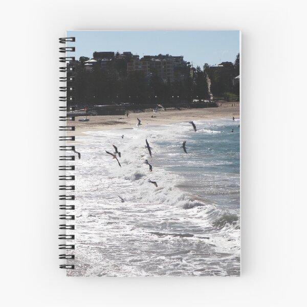 Item preview, Seagulls flying at Coogee Beach, Sydney 2023 designed and sold by Lauren Elizabeth Photograhy AU.