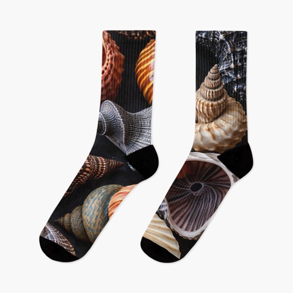Item preview, Seashell Collection Pattern – Coastal Ocean Shell Art for Beach Lovers designed and sold by Kaleidoscope Print.