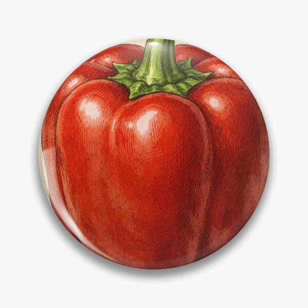 Item preview, Vintage Red Bell Pepper Botanical Print - Farmhouse Kitchen Wall Art designed and sold by Darlin8888.