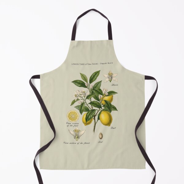 Item preview, Yellow Lemon Tree Branch Botanical Sketch designed and sold by capricedefille.