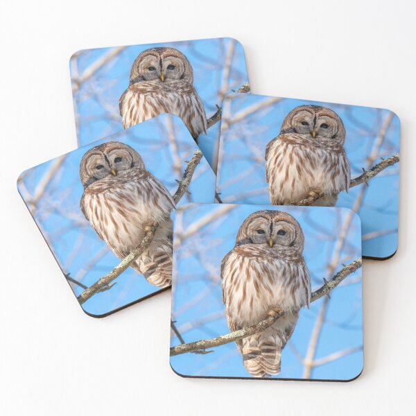 Item preview, Owl Trippie Redd in Celestial Cosmos designed and sold by Rishstrethphoto.