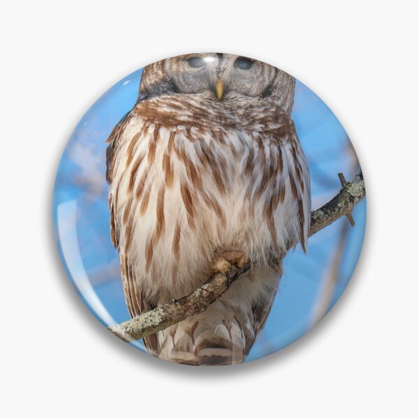 Item preview, Owl Trippie Redd in Celestial Cosmos designed and sold by Rishstrethphoto.