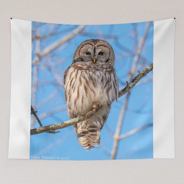 Item preview, Owl Trippie Redd in Celestial Cosmos designed and sold by Rishstrethphoto.