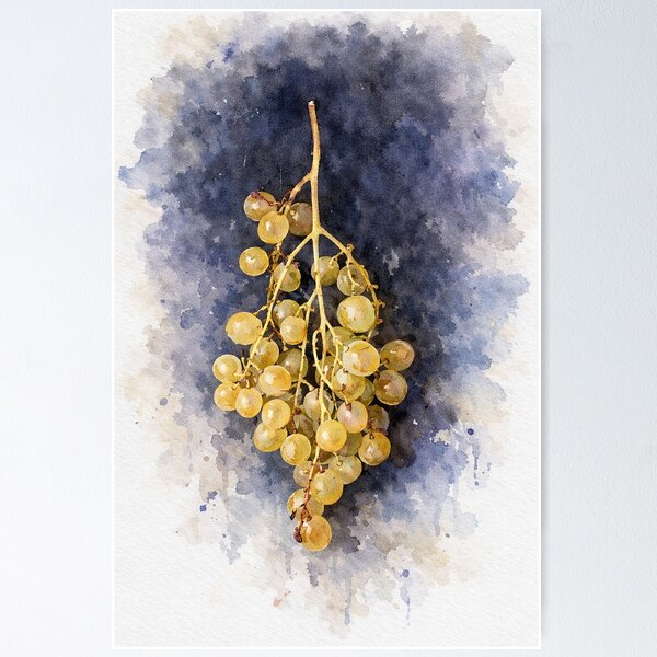 Item preview, Watercolor Grapes on Dark Background designed and sold by Pacika.