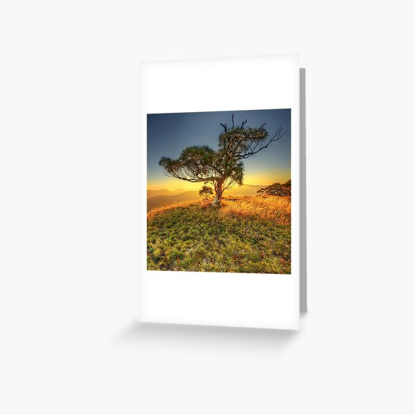 Item preview, Snowgum, Mount Speculation designed and sold by Kevin McGennan.