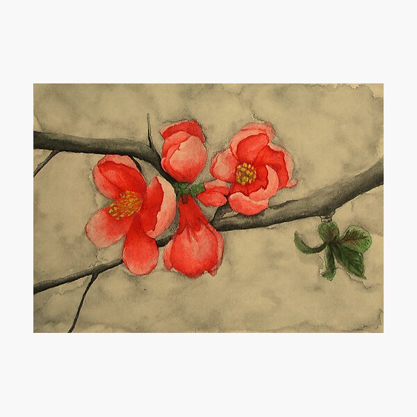 Item preview, Apple Blossom designed and sold by ciriva.