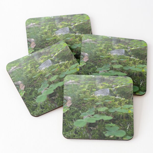 Item preview, forest floor designed and sold by MonStile.