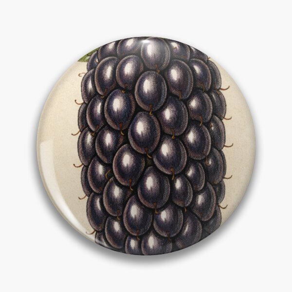 Item preview, Vintage Blackberry Botanical Print - Antique Berry Kitchen Wall Art designed and sold by Darlin8888.